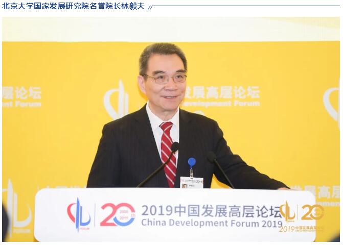 北京大学国家发展研究院名誉院长林毅夫.jpg