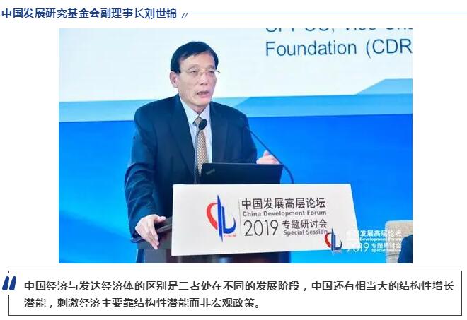 中国发展研究基金会副理事长刘世锦.jpg