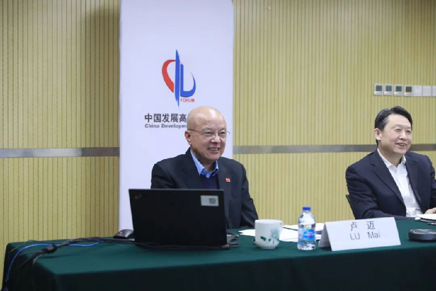中国发展高层论坛秘书长卢迈.png