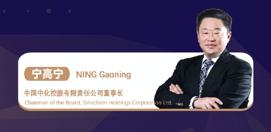 宁高宁.jpg